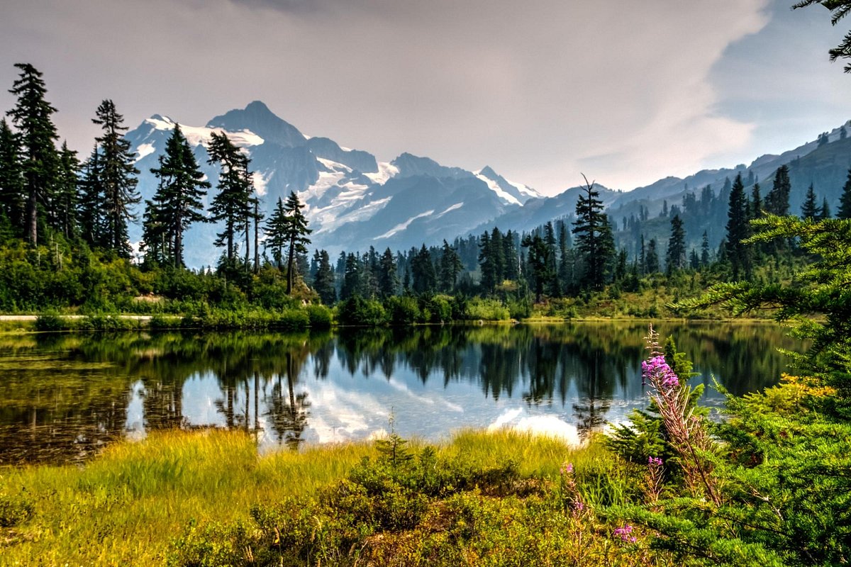 Snow-covered Mount Baker above the Washington Cascades